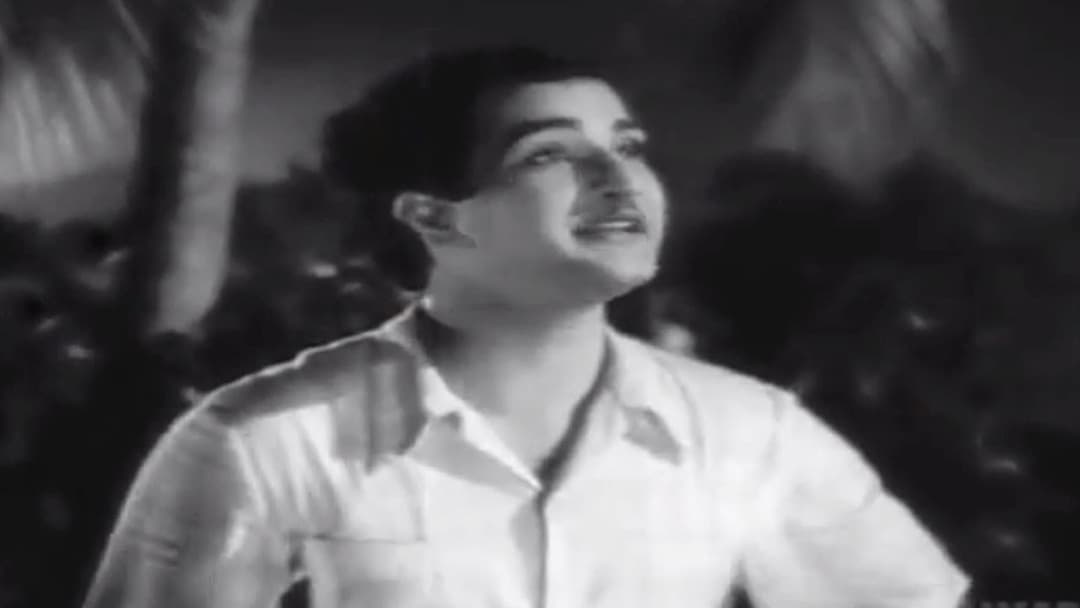 రావోయి చందమామ