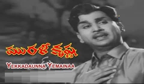 నీ సుఖమే నే కోరుతున్నా