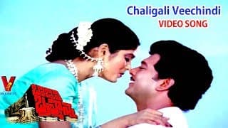చలిగాలి వీచింది సనజాజి పూసింది