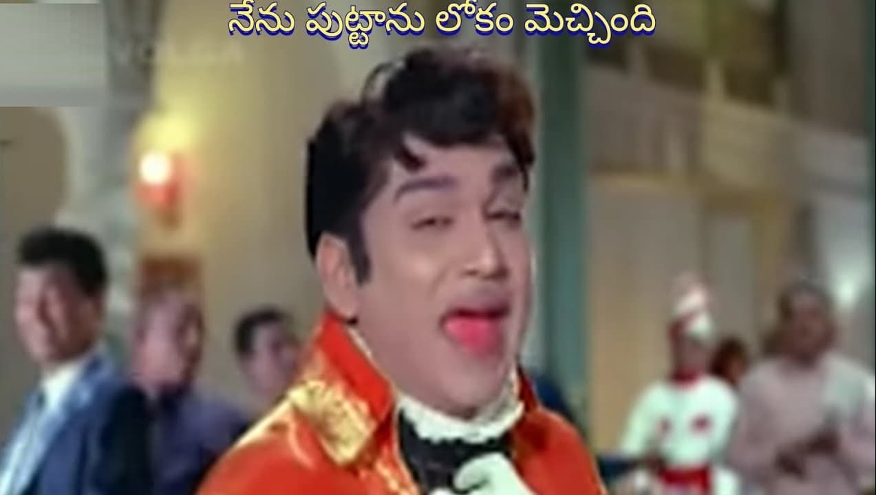 నేను పుట్టాను లోకం మెచ్చింది