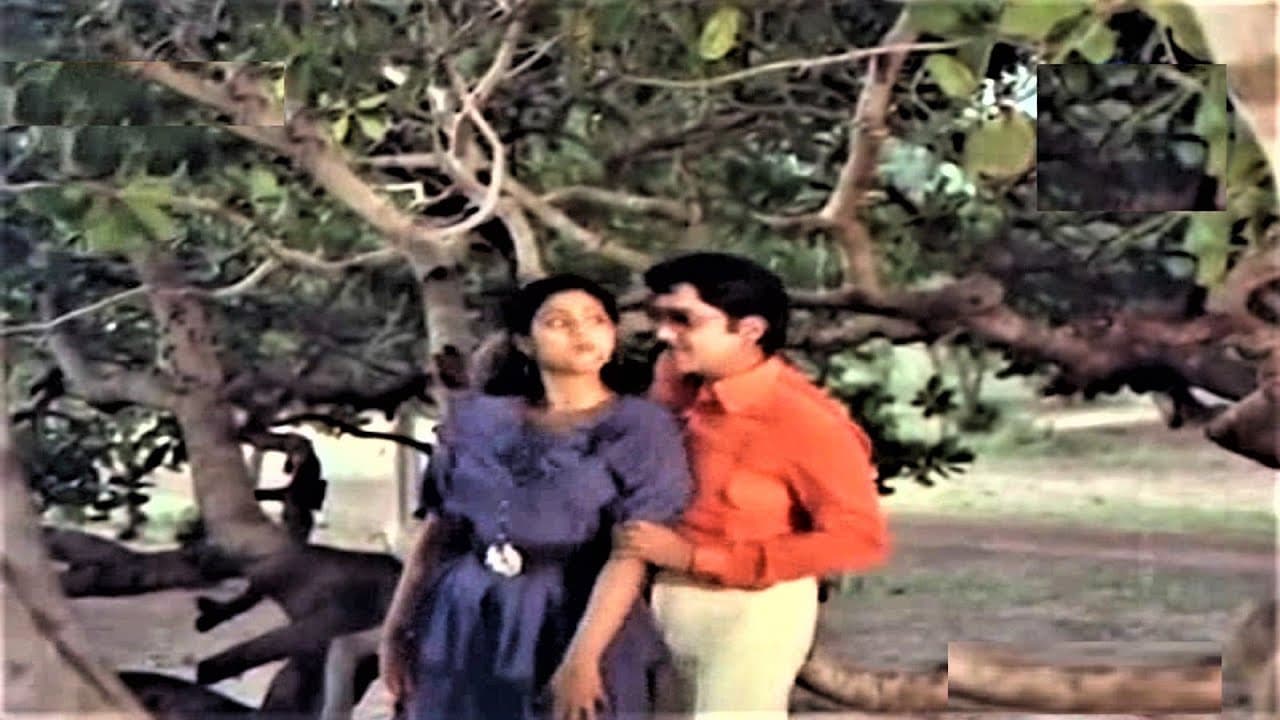 చూశాక నిను చూశాక
