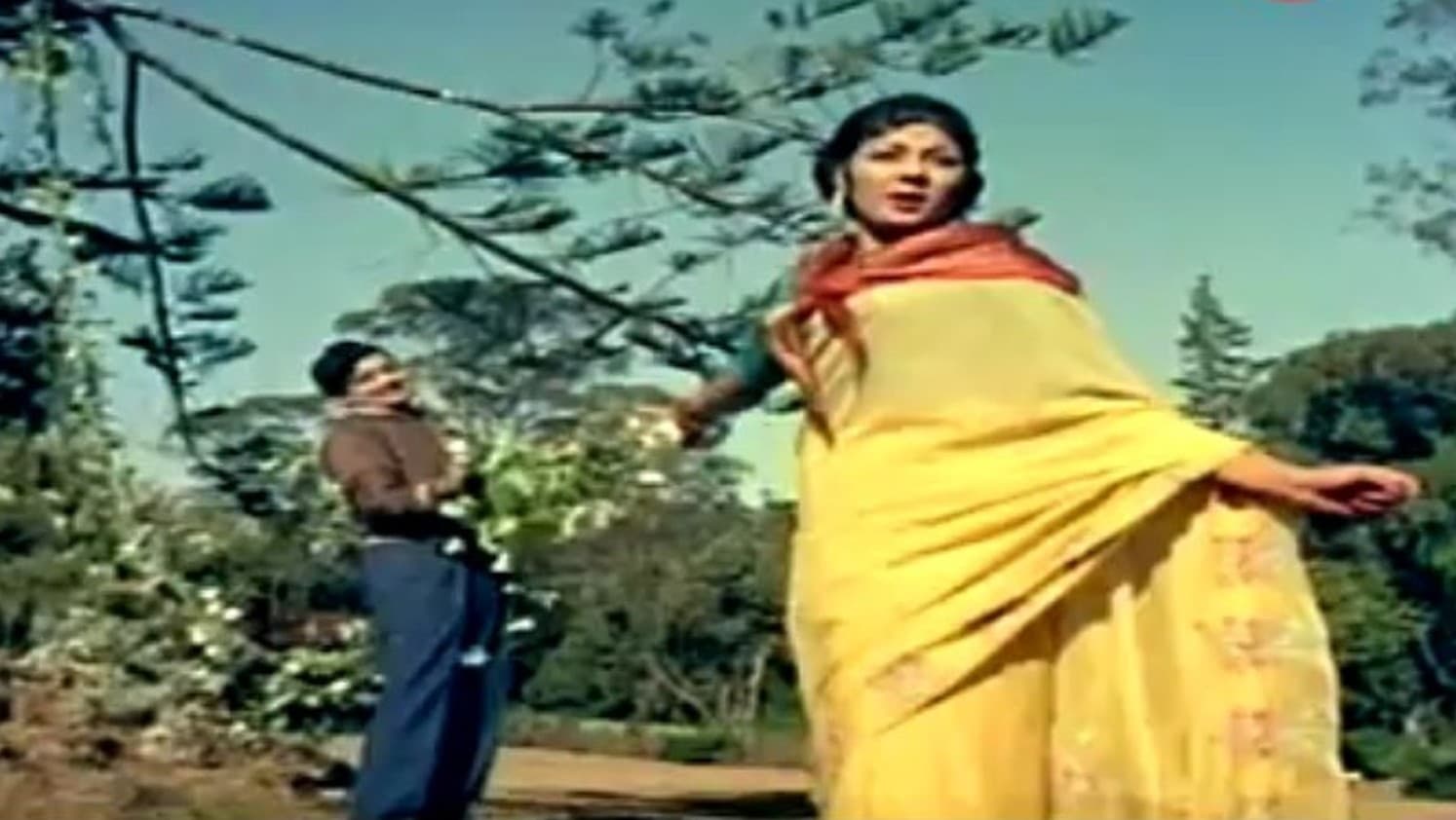 దివి నుండి భువికి దిగి వచ్చే దిగి వచ్చే