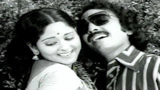 అందాలన్ని నీలోనే దాగున్నాయి