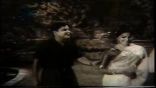 డివ్వి డివ్వి డివ్విట్టం
